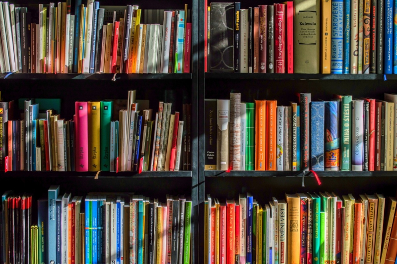 magasin-LA ROQUEBRUSSANNE-min_books_bookstore_book_reading_shop_writer_sale_books_read-822866